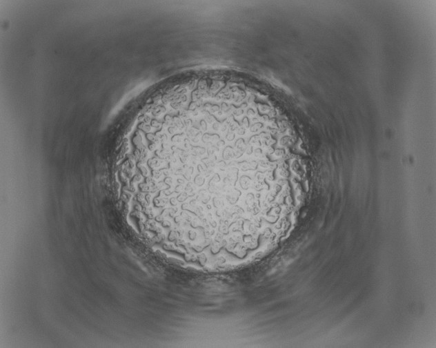 X0000076251255200610191640