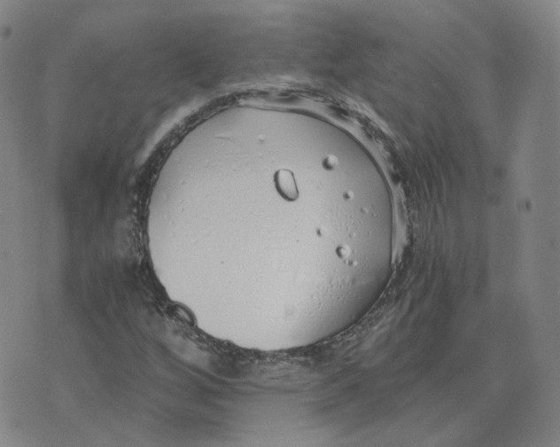 X0000076251256200610191640