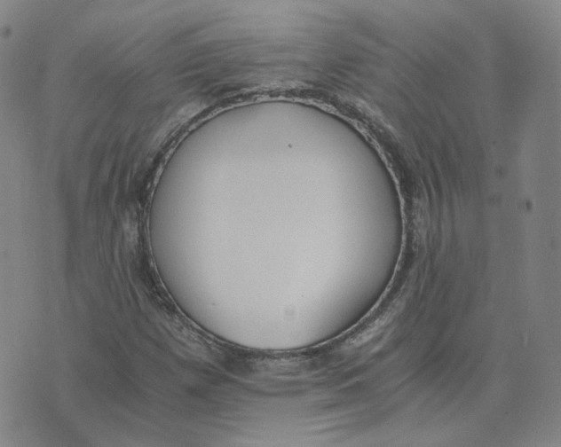 X0000076251257200610191640