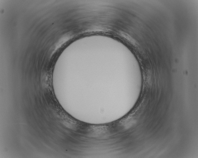 X0000076251258200610191640