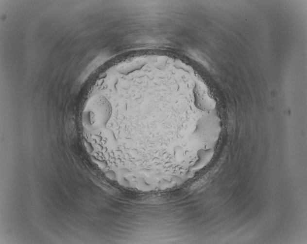 X0000076251259200610191640