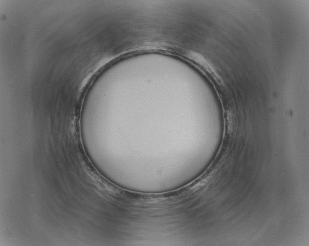 X0000076251260200610191640