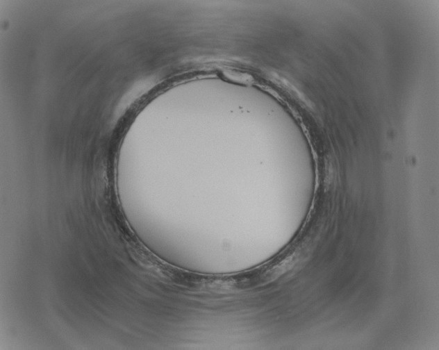 X0000076251261200610191640