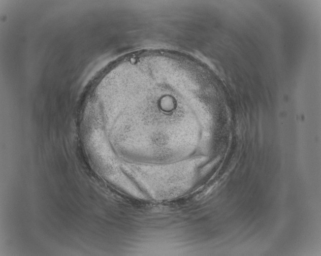 X0000076251263200610191640