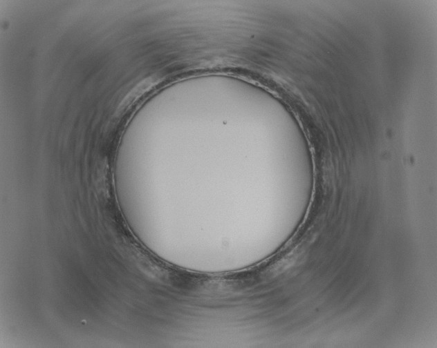 X0000076251265200610191640