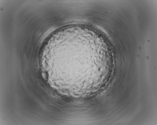 X0000076251267200610191640