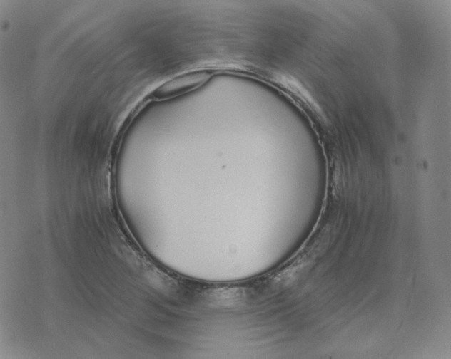 X0000076251268200610191640