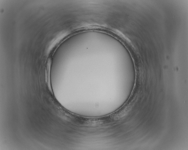 X0000076251269200610191640