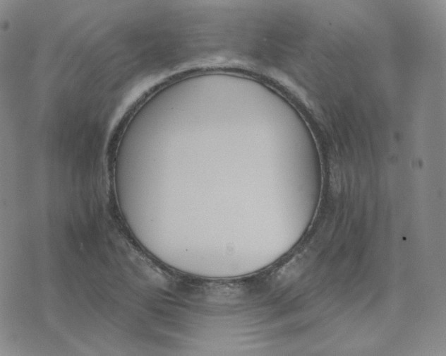 X0000076251270200610191640