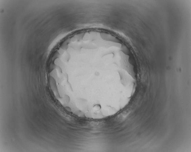 X0000076251271200610191640