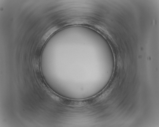 X0000076251273200610191639