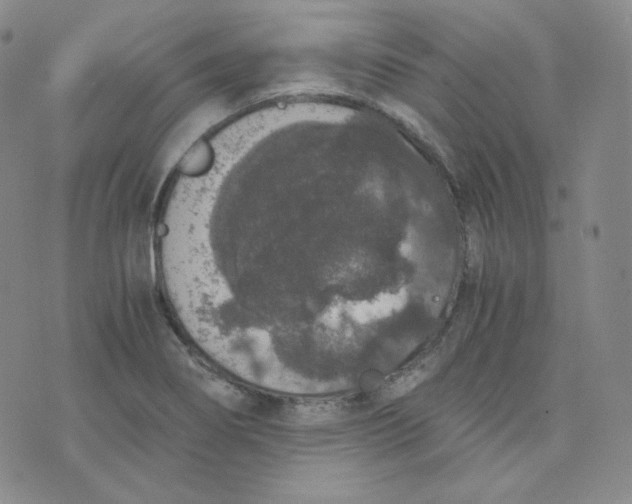 X0000076251274200610191639