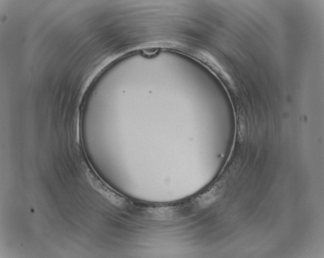 X0000076251276200610191639