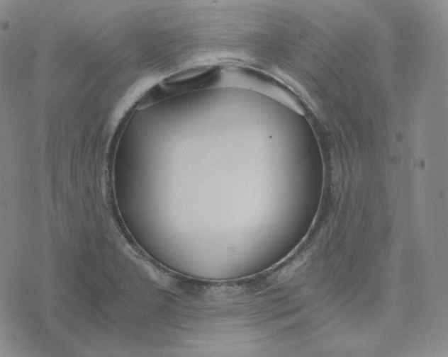 X0000076251277200610191639