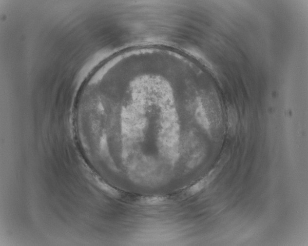 X0000076251278200610191639