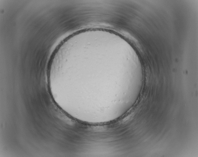 X0000076251280200610191639