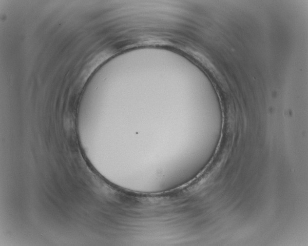 X0000076251281200610191639