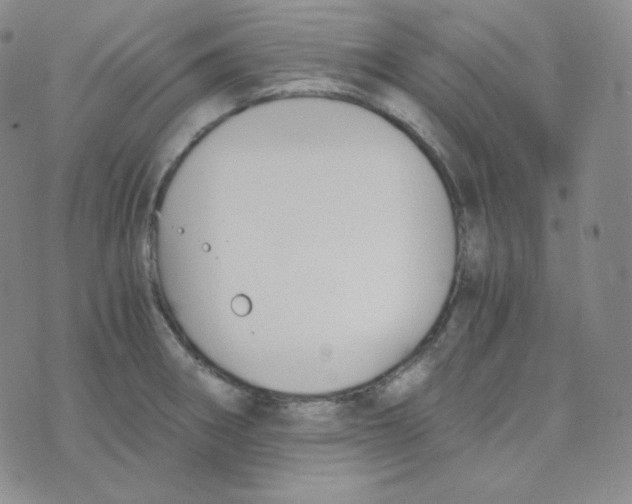 X0000076251282200610191639