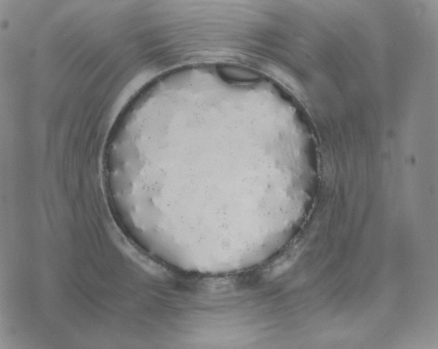 X0000076251283200610191639