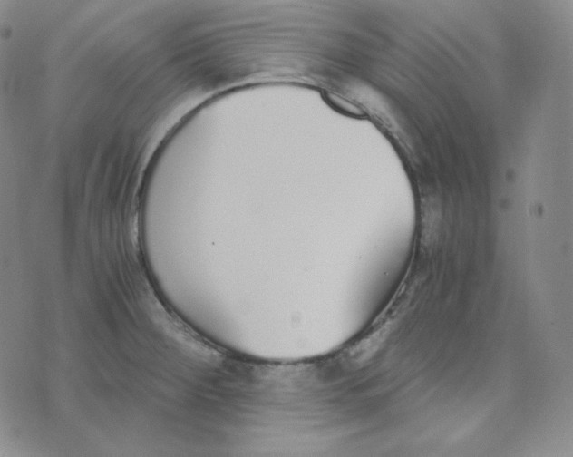 X0000076251284200610191639