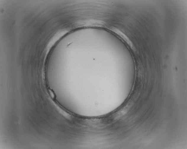 X0000076251285200610191639