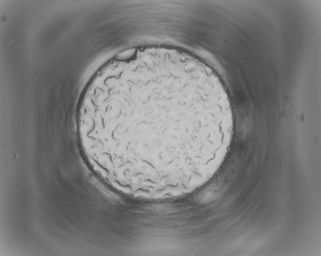 X0000076251287200610191639