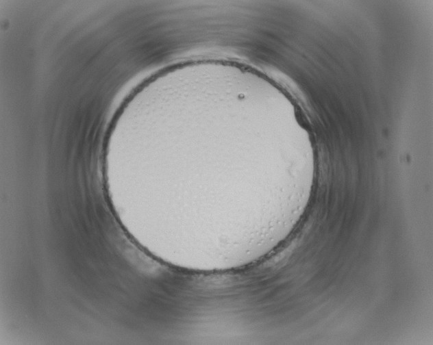 X0000076251288200610191639