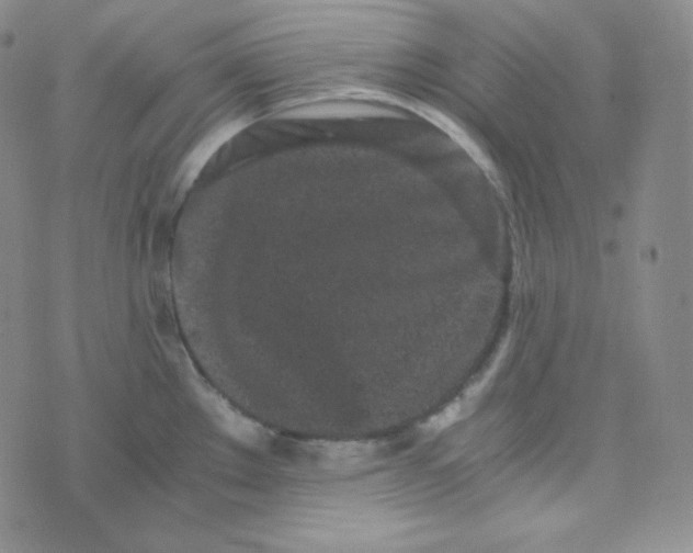 X0000076251289200610191639