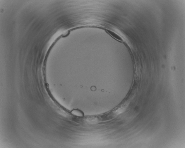 X0000076251291200610191639