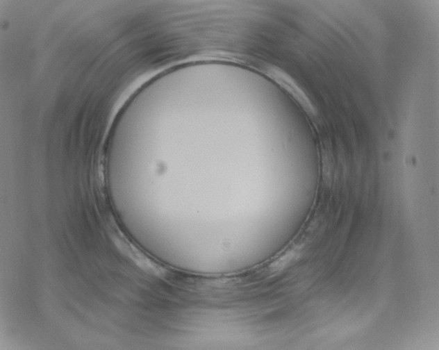 X0000076251292200610191639