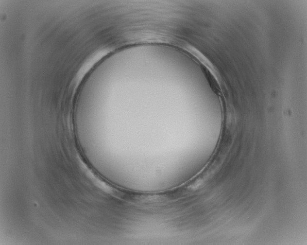 X0000076251293200610191639