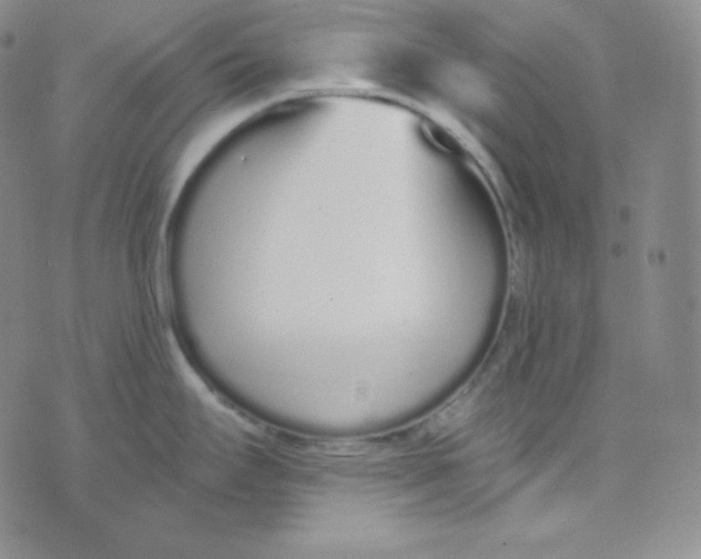 X0000076251295200610191639