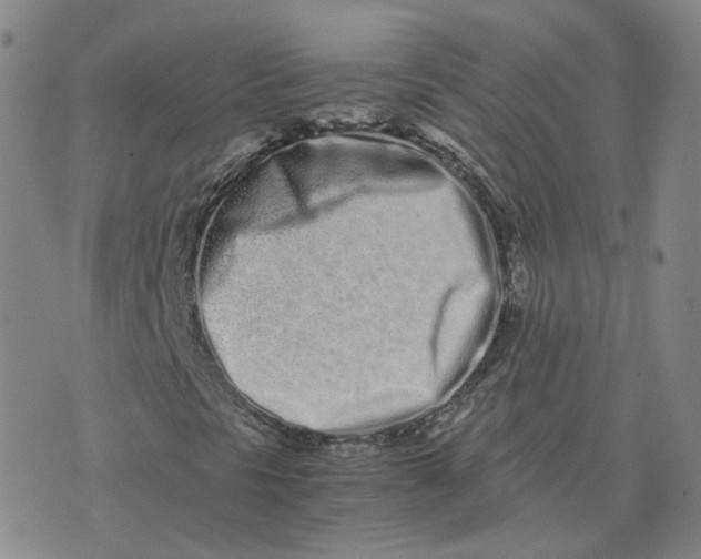 X0000076251297200610191638