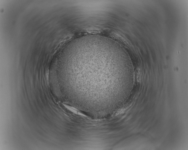 X0000076251298200610191638