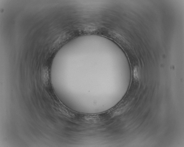 X0000076251299200610191638