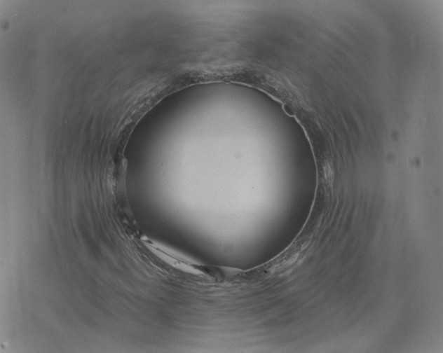 X0000076251300200610191638