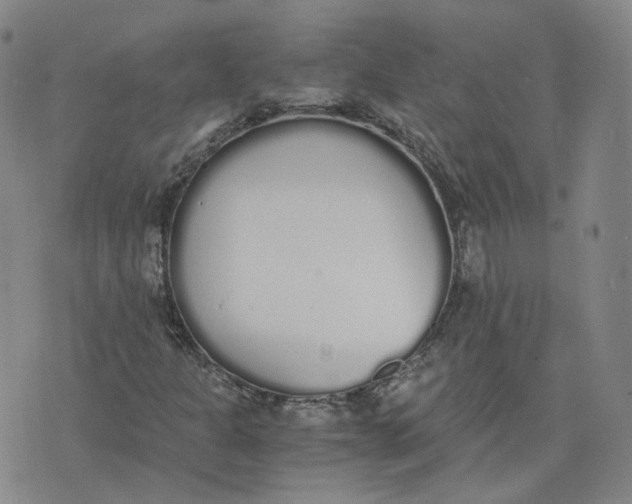 X0000076251301200610191638