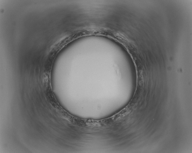 X0000076251302200610191638