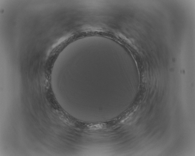 X0000076251303200610191638