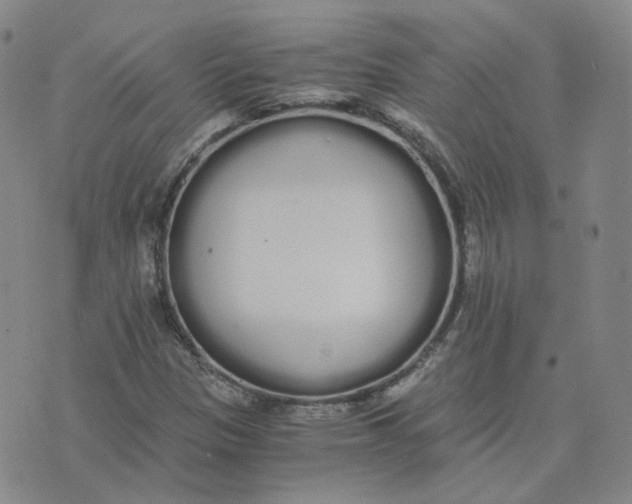 X0000076251305200610191638