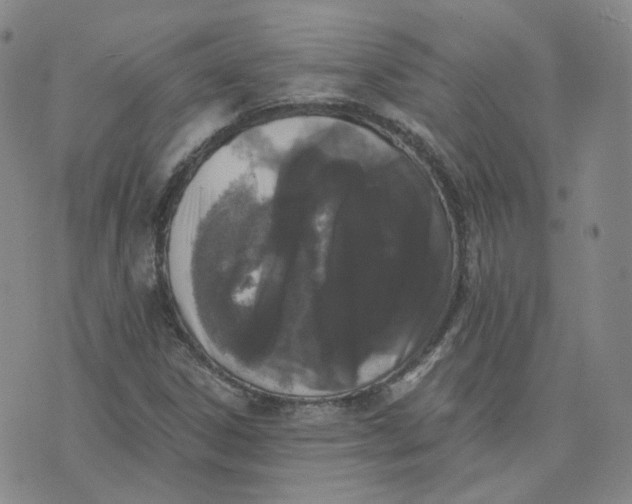 X0000076251306200610191638