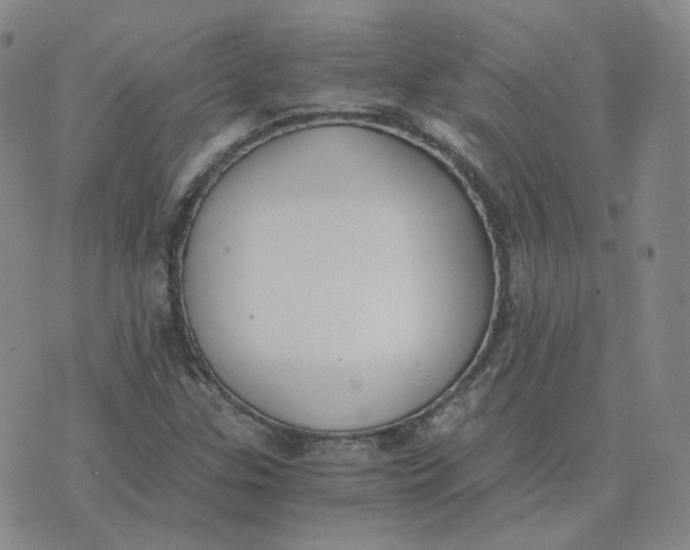 X0000076251307200610191638