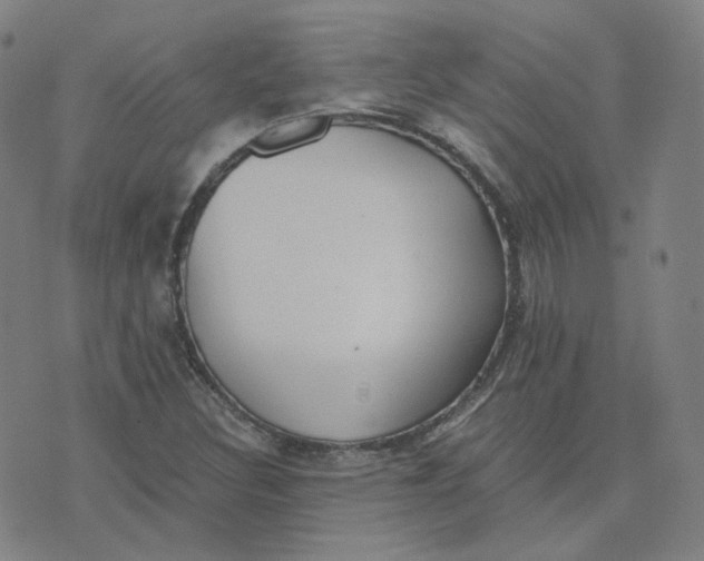 X0000076251308200610191639