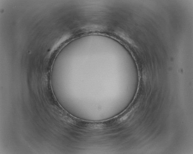 X0000076251309200610191639