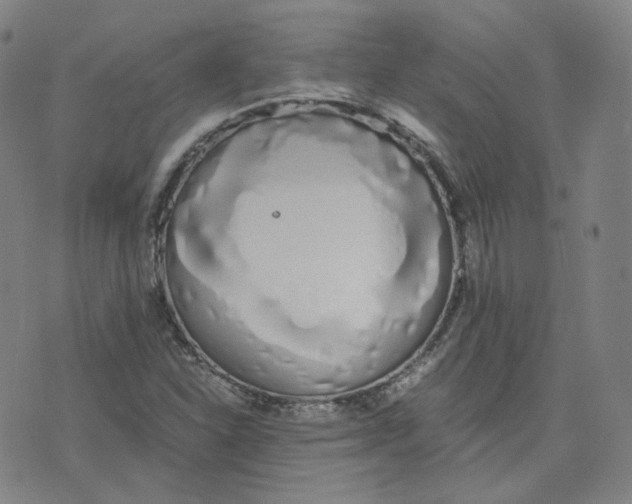 X0000076251310200610191639