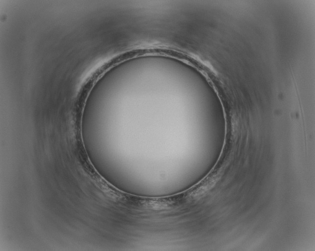 X0000076251311200610191639