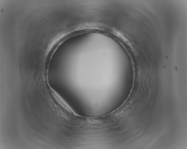 X0000076251312200610191639