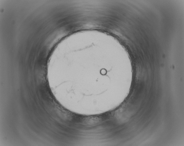 X0000076251314200610191639