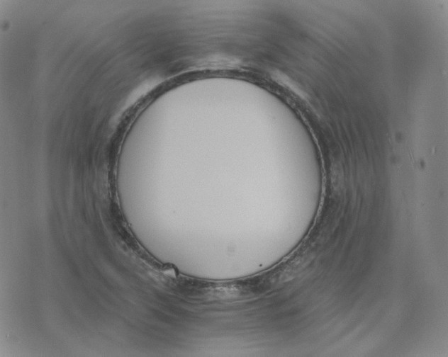 X0000076251315200610191639