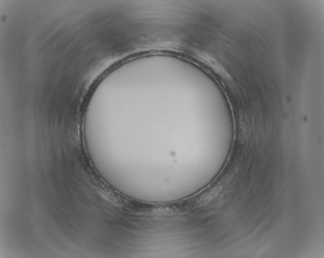 X0000076251316200610191639